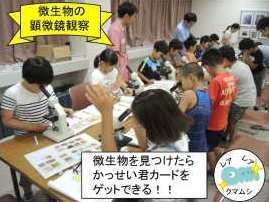 【参加者募集】夏休みに顕微鏡で微生物を観察してみませんか?