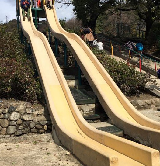 長い滑り台に、天然シイタケ。子どもがたくさん遊べる自然たっぷりの五月山公園。