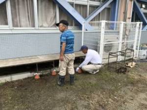 しぶたに学園 渋谷中学校「菊サークル活動」