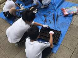 ほそごう学園「花いっぱいプロジェクト」
