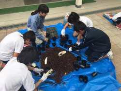 ほそごう学園「花いっぱいプロジェクト」