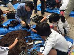 ほそごう学園「花いっぱいプロジェクト」
