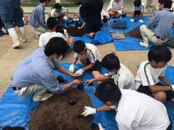 ほそごう学園「花いっぱいプロジェクト」