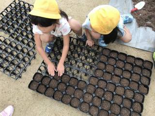 きたてしま学園 北豊島小学校「花いっぱいプロジェクト」