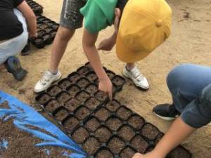 きたてしま学園 北豊島小学校「花いっぱいプロジェクト」
