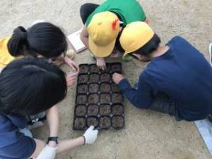 きたてしま学園 北豊島小学校「花いっぱいプロジェクト」