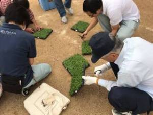 きたてしま学園 北豊島小学校「花いっぱいプロジェクト」