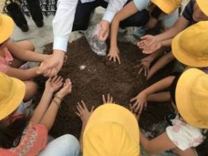 きたてしま学園 北豊島小学校「花いっぱいプロジェクト」