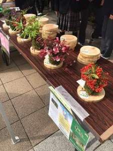 ほそごう学園 「ほそごう秋まつり」