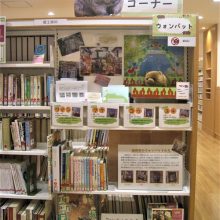 池田市立図書館（本館）ウォンバットについて調べてみよう！