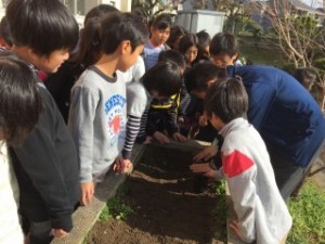 いしばし学園 石橋南小学校「花いっぱいプロジェクト」出荷式