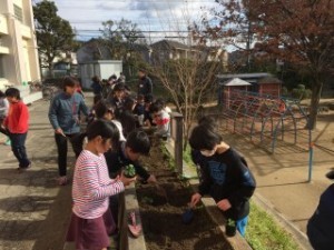 いしばし学園 石橋南小学校「花いっぱいプロジェクト」出荷式