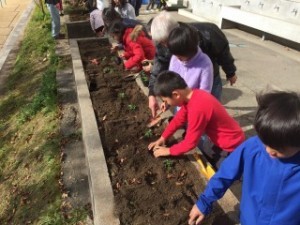 いしばし学園 石橋南小学校「花いっぱいプロジェクト」出荷式