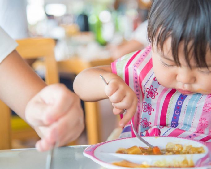 【2025年8月30日のイベント】参加料は食材! つくってたべようの会「つくたべ」