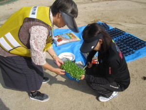 きたてしま学園神田小学校『花いっぱいプロジェクト』の取り組み