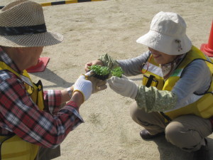 きたてしま学園神田小学校『花いっぱいプロジェクト』の取り組み
