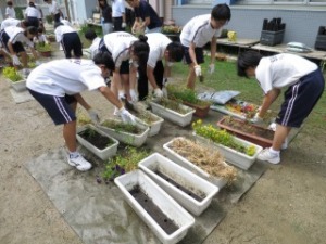 しぶたに学園 渋谷中学校『花いっぱいプロジェクト』