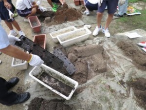 しぶたに学園 渋谷中学校『花いっぱいプロジェクト』