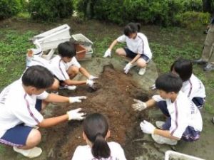しぶたに学園 渋谷中学校『花いっぱいプロジェクト』