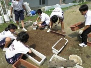 しぶたに学園 渋谷中学校『花いっぱいプロジェクト』