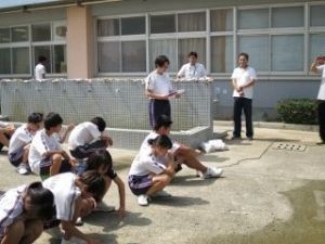 しぶたに学園 渋谷中学校『花いっぱいプロジェクト』