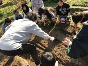 いけだ学園 呉服小学校「花いっぱいプロジェクト」
