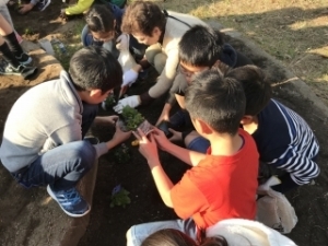 いけだ学園 呉服小学校「花いっぱいプロジェクト」