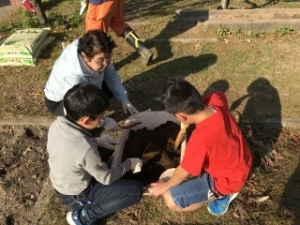 いけだ学園 呉服小学校「花いっぱいプロジェクト」