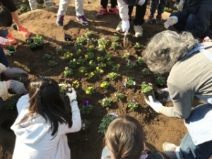 いけだ学園 呉服小学校「花いっぱいプロジェクト」