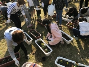 いけだ学園 呉服小学校「花いっぱいプロジェクト」