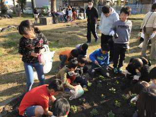 いけだ学園 呉服小学校「花いっぱいプロジェクト」