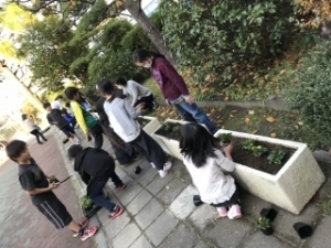いけだ学園 呉服小学校「花いっぱいプロジェクト」