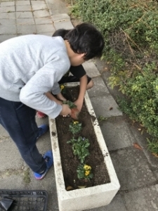 いけだ学園 呉服小学校「花いっぱいプロジェクト」