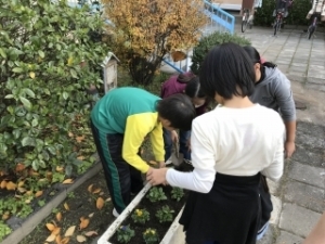 いけだ学園 呉服小学校「花いっぱいプロジェクト」