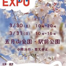 さくら満開の池田市五月山公園にて「IKEDA EXPO」を開催