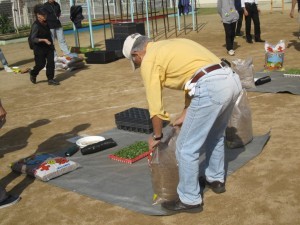 きたてしま学園北豊島小学校『花いっぱいプロジェクト』の取り組み