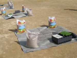 きたてしま学園北豊島小学校『花いっぱいプロジェクト』の取り組み