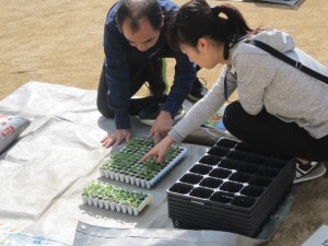 きたてしま学園北豊島小学校『花いっぱいプロジェクト』の取り組み