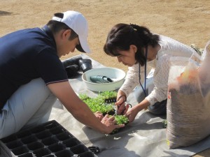 きたてしま学園北豊島小学校『花いっぱいプロジェクト』の取り組み