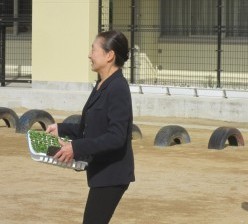きたてしま学園北豊島小学校『花いっぱいプロジェクト』の取り組み