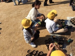 きたてしま学園北豊島小学校『花いっぱいプロジェクト』の取り組み
