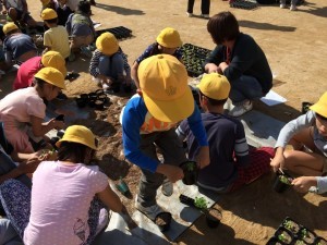 きたてしま学園北豊島小学校『花いっぱいプロジェクト』の取り組み