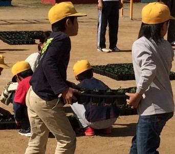 きたてしま学園北豊島小学校『花いっぱいプロジェクト』の取り組み