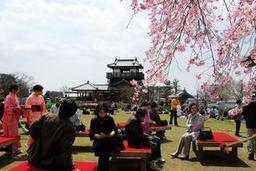 【4月8日(土)・9日(日)】雅の広場(城跡公園)でさくらまつり開催★