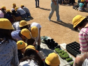 きたてしま学園北豊島小学校『花いっぱいプロジェクト』の取り組み